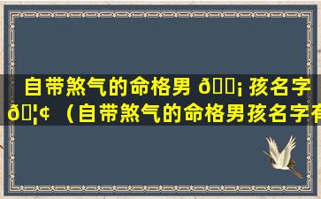 自带煞气的命格男 🐡 孩名字 🦢 （自带煞气的命格男孩名字有哪些）